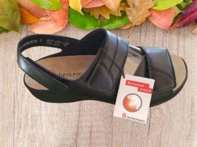 SOFIE ΑΝΑΤΟΜΙΚΑ ΠΕΔΙΛΑ
